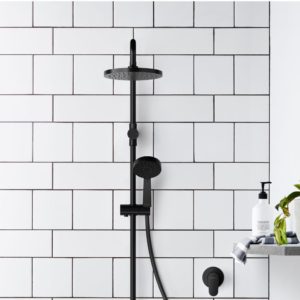 shower design with matte black fixtures